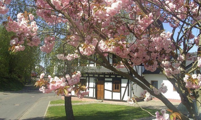 Frankweiler Casa | Casa de vacaciones Beltheim para 1 - 8 personas con 4 dormitorios - Casa de vacaciones