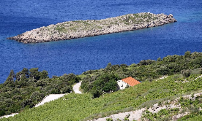 Orebic Casa | Holiday house with a parking space Dingac - Pristranj, Peljesac - 660
