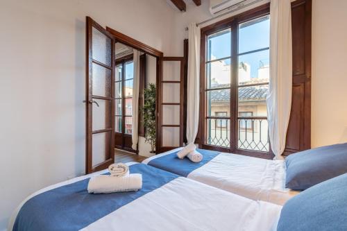 Cort Apartamento | Holiday Palma Apartments - TI