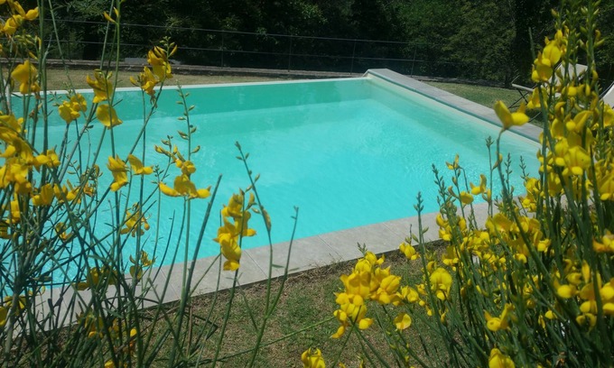 San Polo in Chianti Apartamento | Holidays in total relaxation in a property surrounded by greenery with swimming pool