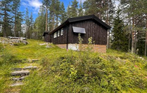 Asnes Municipality Otro | Holmsjøhytta