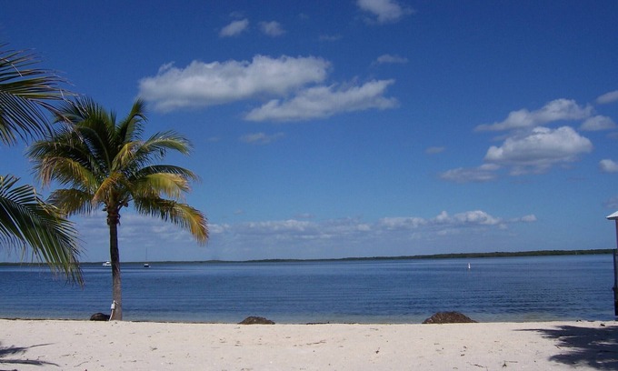 Key Largo Village Casa | Casa lejos de casa, acogedora casa de 3 dormitorios frente al mar y frente al mar Key Largo