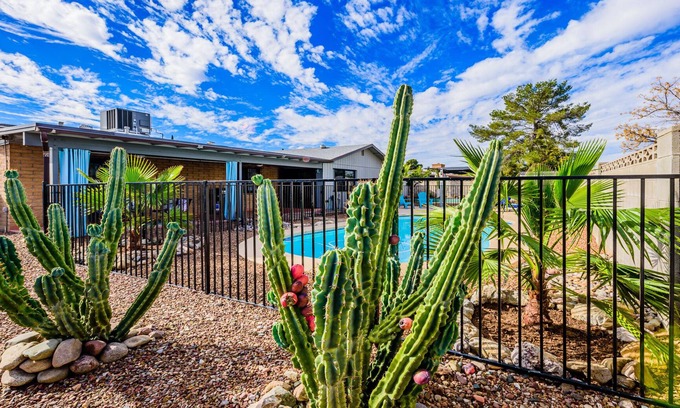 Groves Lincoln Park Casa | Home away from Home in Eastern Tucson Arizona, pool, spa, private yard