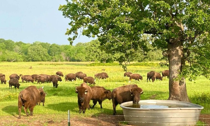 Bryan Cabina | Home on the Range ~ Aggieland Alquileres vacacionales