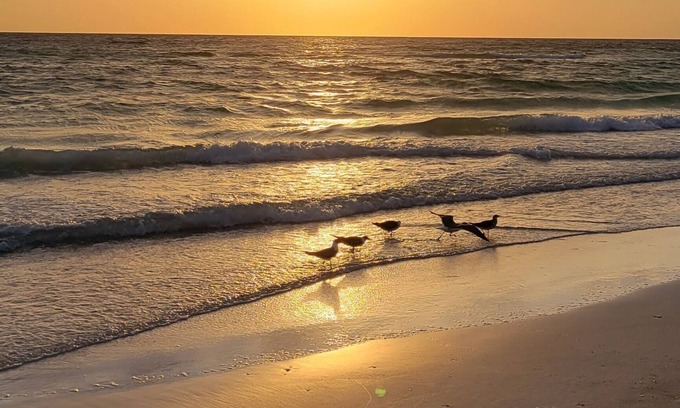 Ruskin Apartamento | Home Paradise, Cozy guest suite in Ruskin POOLS HIGH SPEED WIFI BEACH MINUTES!!!