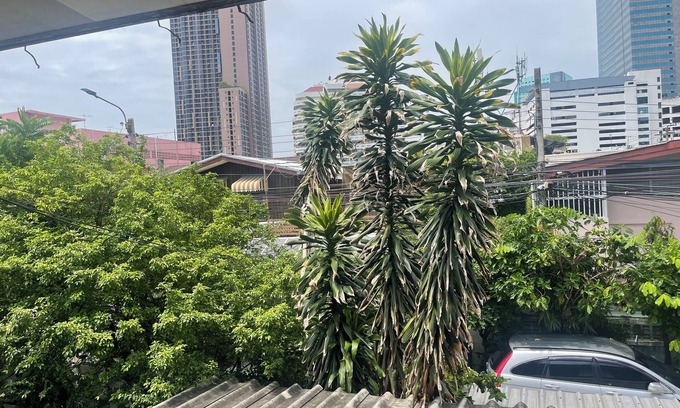 Lumphini Casa | Home rama4 near bts thong lor