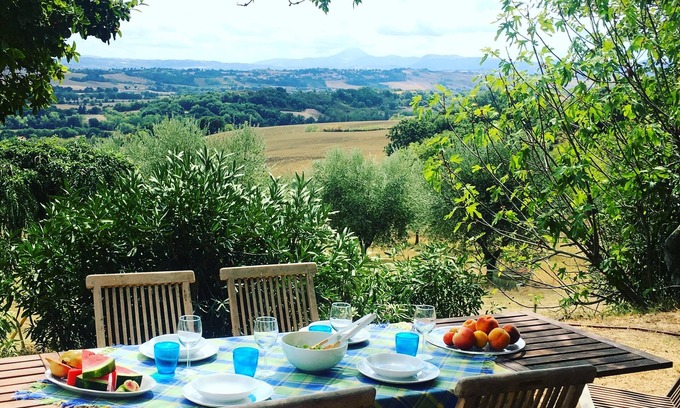 Mondavio Casa | Home set in olive grove