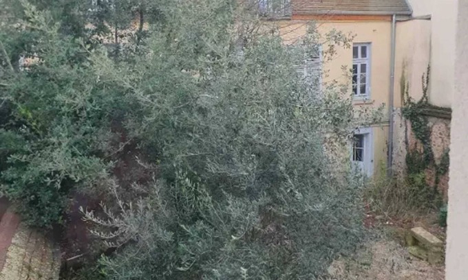 Limeil-Brevannes Apartamento | Homerez - Apartamento en Limeil-Brévannes