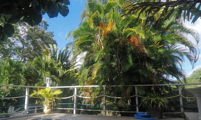 Lepinay Apartamento | Homerez - Apartamento Rivière-Pilote