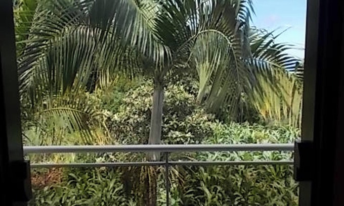 Bois de Nefles Apartamento | Homerez - Apartment Sea View, Saint-Paul - 70m²