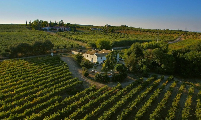Montilla Villa | Homerez - Grande villa para 16 pers. con piscina en Montilla