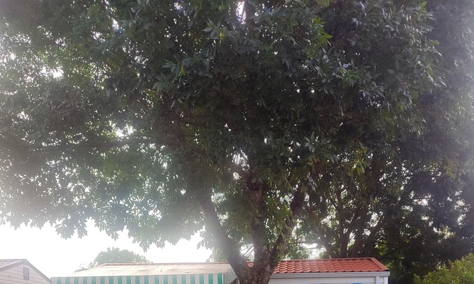 Saujon Casa | Homerez - Bungalow 10 km away from the beach for 4 ppl. with terrace at Saujon