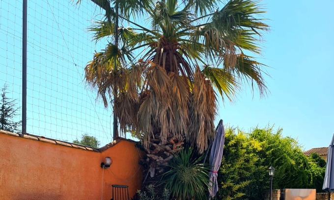 Marguerittes Villa | Homerez - Villa for 6 ppl. with swimming-pool and garden at Marguerittes