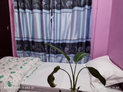 Baglung Casa | Homestay in Baglung Bazar -Baglung Homestay