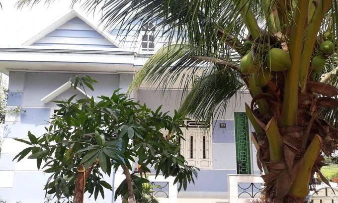 Phuoc Dan Casa | HOMESTAY OF GREEN FIELDS