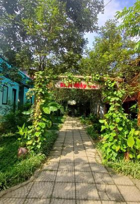 Mang Yang Cabina | Homestay Suối Mây Garden