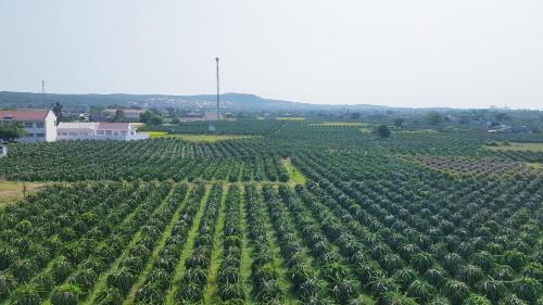Ke Ga Cama Y Desayuno | Homestay Thảo Nguyên Xanh