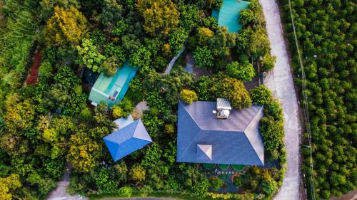 Bao Loc Casa | Homestay Vườn Trái Cây Nhiệt Đới VÔ ƯU GARDEN