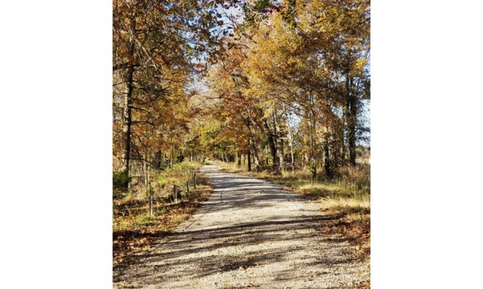 Henry County Cabina | Honey Creek Hideaway at Back Country Camp