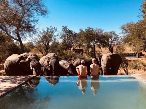 Thorny Bush Game Reserve Otro | Honeyguide Tented Safari Camps - Mantobeni