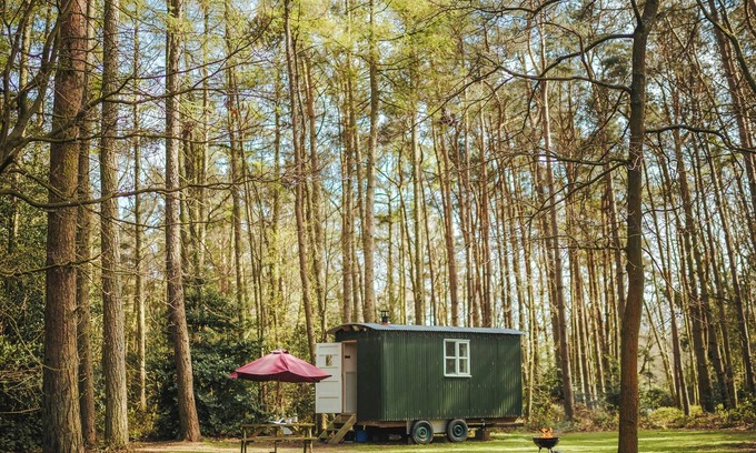 Melton Constable Cabaña | Honeysuckle Hut-QU7066