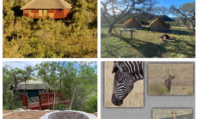 Great Kei Cabina | Horseshoe Game Reserve