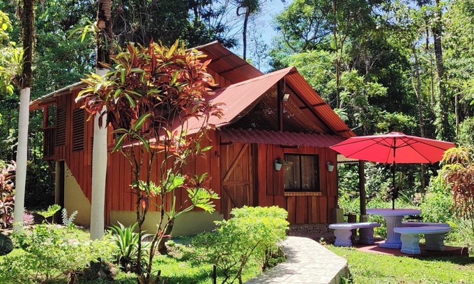 Agonía Cabina | Hospedaje en Bosque Tropical Reforestado, lleno de naturaleza, paz y relajación.