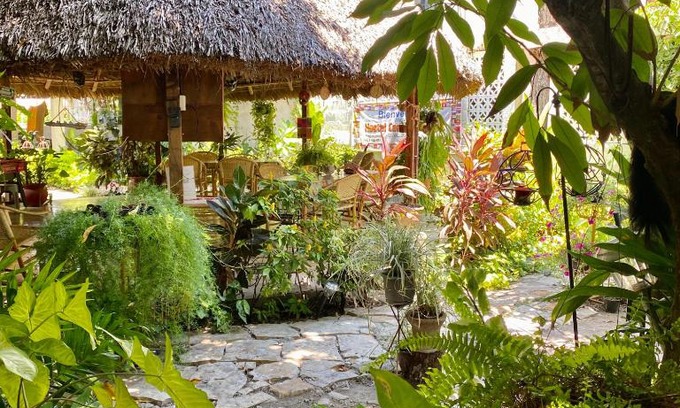 Zona Centro Casa | Hostal Casa Huasteca
