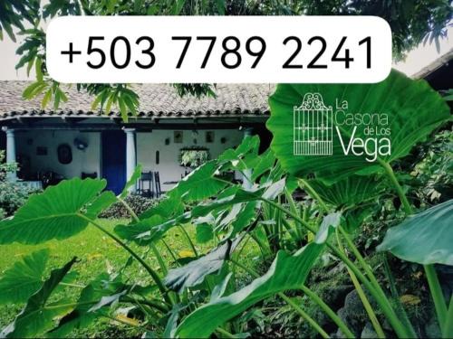 Izalco Casa | Hostal Casona de los Vega