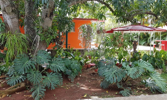 Municipality of Boyeros Cama Y Desayuno | Hostal Doña Amalia Cuba