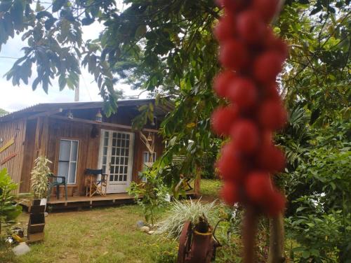 Lejanias Casa | Hostal La Cabaña