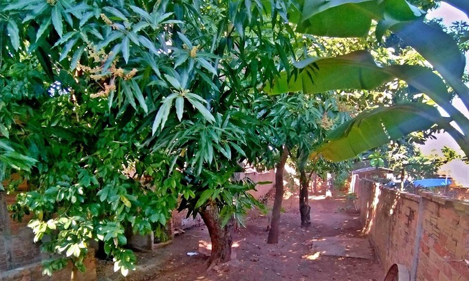 Trinidad Cama Y Desayuno | Hostal Marlene y el Moro