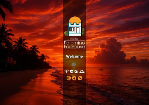 Palomino Cabina | Hostal Palomino EcoHouse & Camping
