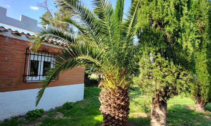 San Martín de Montalbán Hostal | Hostal San Martin de Montalbán