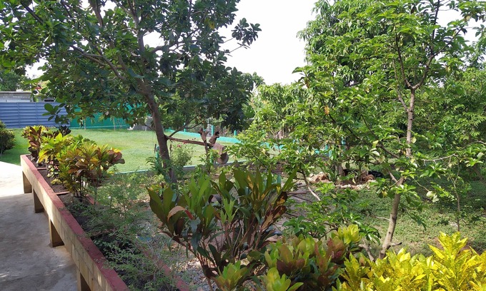 Trinidad Casa | Hostal Yanelis & Harol