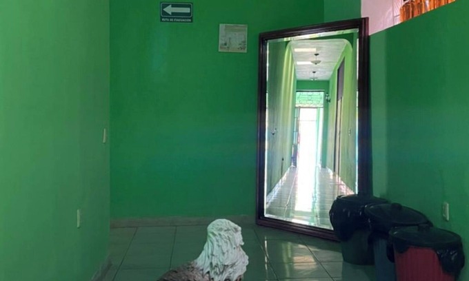 Tequila Casa | Hostal a 1 una cuadra del centro de tequila contamos con sala de juegos y bar