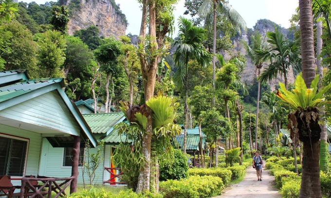 Krabi Hostal | Hostal ∙ 8 huéspedes