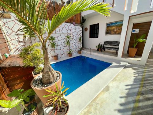 Downtown Holbox Hotel | Hotel AKBAL Holbox