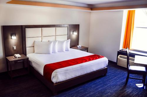 Torreón Hotel | Hotel ALO! Express