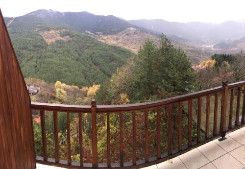 Metsovo Hotel | Hotel Anax