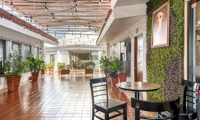 Tonalá Hotel | Hotel Arana Tonalá