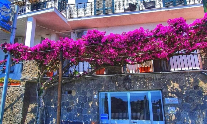 Succhivo Casa | Hotel Bellavista
