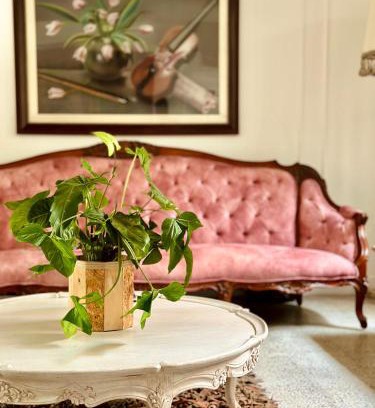 Laureles Hotel | Hotel Boutique Fiorentina Medellín