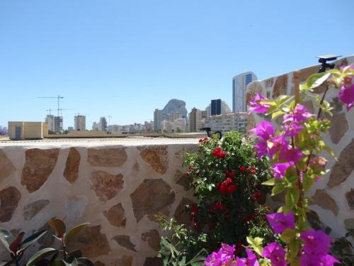 Calpe Hotel | Hotel CALPE