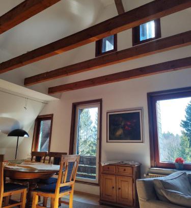 Braunlage Hotel | Hotel Carlsruh