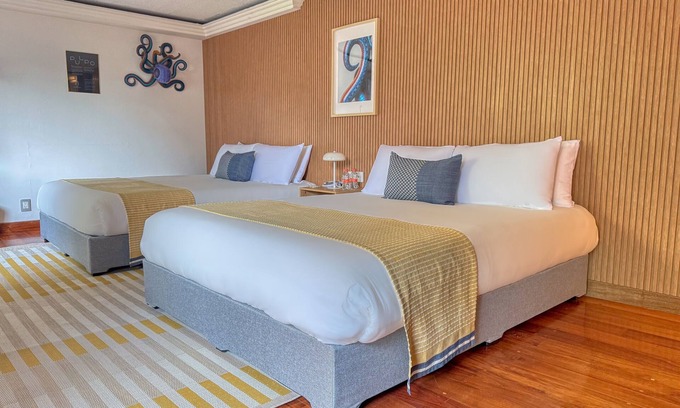 Coyoacán Hotel | Hotel Casa Alebrije: Suite Deluxe Doble Queen - 03