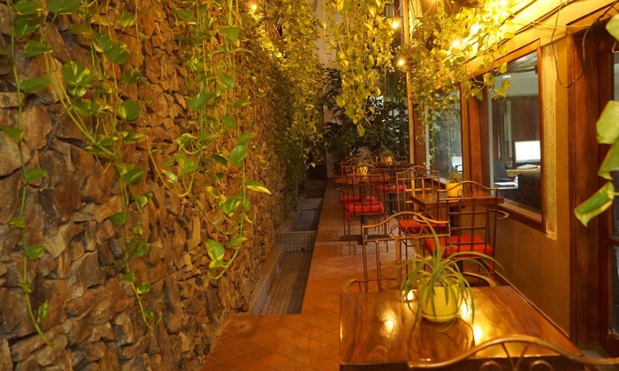 San Pedro Sula Hotel | Hotel Casa del Arbol