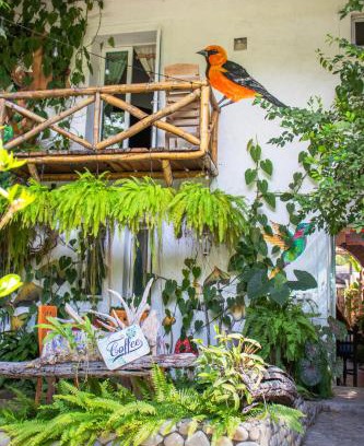 Santa María Huatulco Hotel | Hotel Casa Lasibe Café