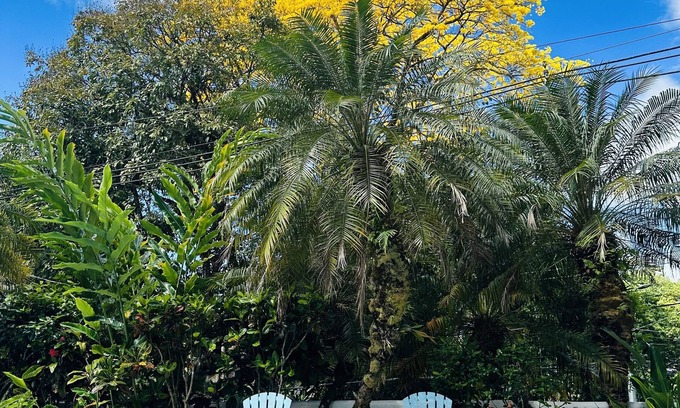 Manuel Antonio Cama Y Desayuno | Hotel Colibri