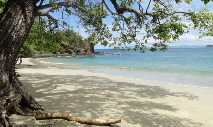 Coco Hotel | Hotel Colono Beach
